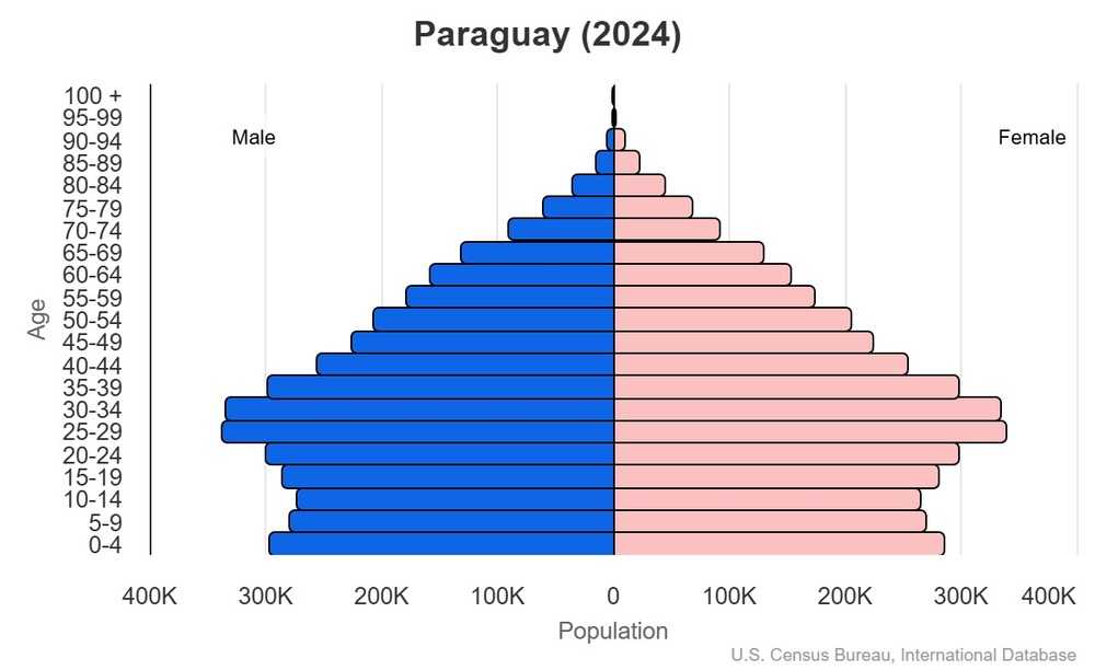 2024 population pyramid