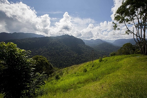 A view of the famous Kokoda Track that crosses the Owen Stanley Mountains of Papua New Guinea, from Port Moresby in the west to Buna on the east coast.  Photo courtesy of the US Marine Corps/ Lance Cpl. Jesus McCloud.