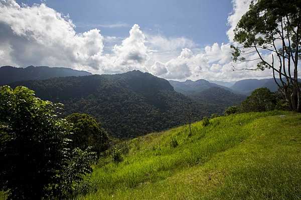 A view of the famous Kokoda Track that crosses the Owen Stanley Mountains of Papua New Guinea, from Port Moresby in the west to Buna on the east coast.  Photo courtesy of the US Marine Corps/ Lance Cpl. Jesus McCloud.