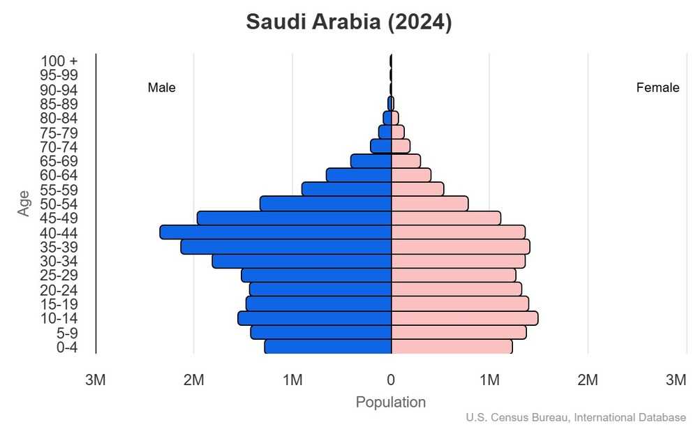 2024 population pyramid