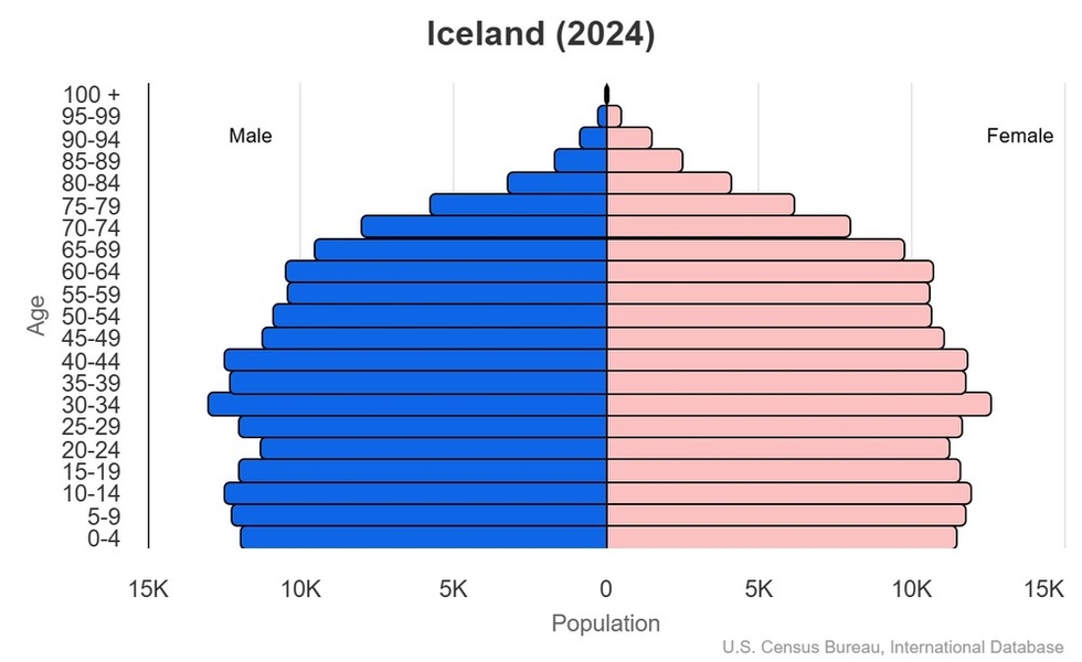 2024 population pyramid
