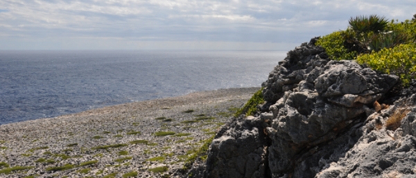 A shoreline view of Navassa Island from the top of the scrubby plateau looking out across the rocky beach to the sea. Image courtesy of the US Fish and Wildlife Service.