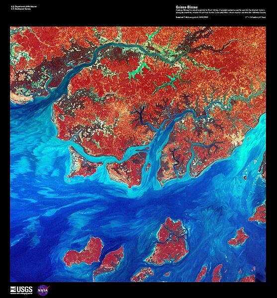 A false-color satellite image of the Guinea-Bissau coastline shows numerous offshore islands, part of the Bissagos Islands. Plains and Guinean mangroves, various kinds of trees and shrubs adapted to thrive in the saline coastal sediment habitats, dominate the coastline of Guinea-Bissau. In the shallow waters, silt - carried into the Atlantic Ocean by the Geba and other rivers - is deposited in various complex patterns. Image courtesy of USGS.