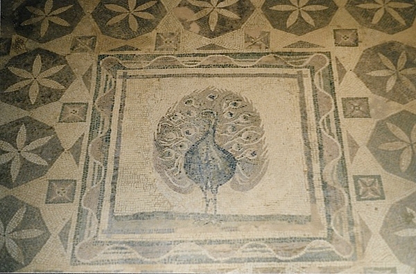 Pictured is a peacock mosaic in the House of Dionysos at the Paphos Archeological Park located in southwest Cyprus. Four large Roman villas have been discovered at the park:  the House of Dionysos, the House of Aion, the House of Theseus, and the House of Orpheus, all of which have well-preserved mosaic floors.