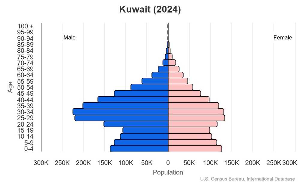 2024 population pyramid