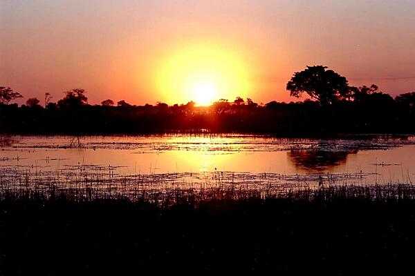 Fiery sunset on Botswana's Okavango Delta (also called the Okavango Swamp), the world's largest inland delta. The Okavango River empties as a swamp in a basin of the Kalahari Desert where, through the processes of evaporation and transpiration, it disappears.