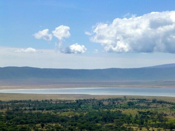The Ngorongoro’s Conservation Area in Tanzania is the site of the Ngorongoro Crater, the world’s largest inactive volcanic caldera (a large depression formed when a volcano collapses).