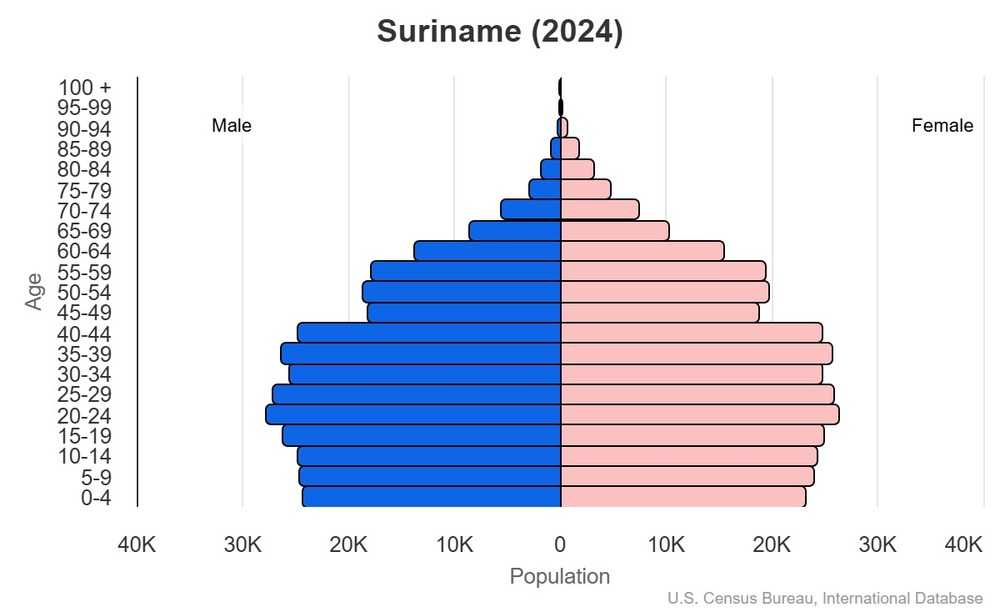 2024 population pyramid