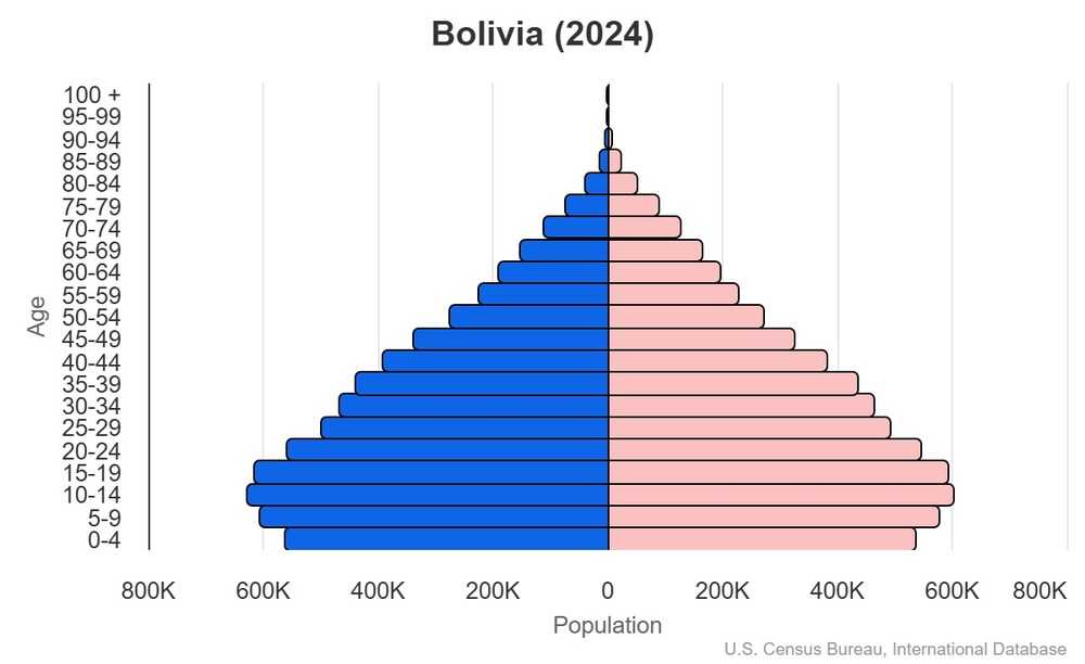 2024 population pyramid