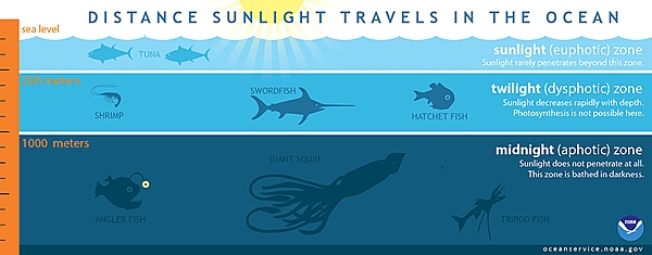 Distance Sunlight Travels in the Ocean
