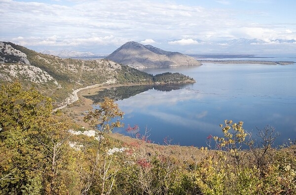 Lake Skadar is located in Skadar Lake National Park in Montenegro. The lake is the largest natural reservoir of fresh water in the Balkans at roughly 475 sq km (183 sq mi) in size, with an average depth of 5 m (16 ft). Most of the lake lies in Montenegro, but a considerable portion extends into Albania.