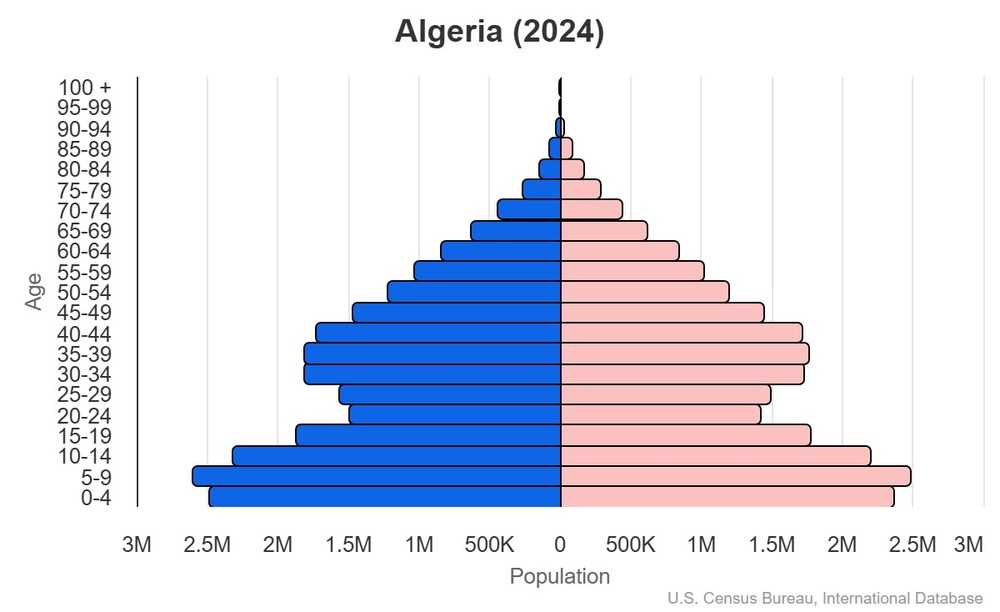 2024 population pyramid