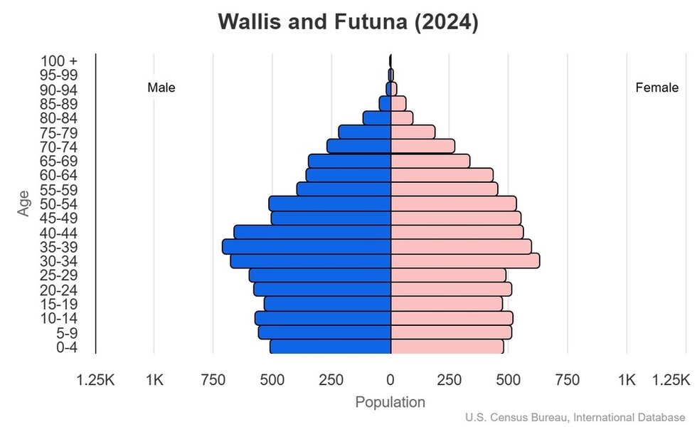 2024 population pyramid