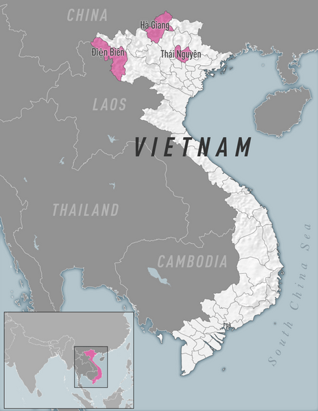 Diphtheria outbreak in Vietnam