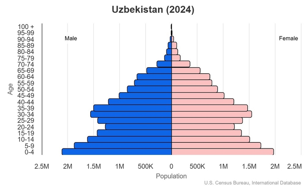 2024 population pyramid