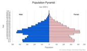 This is the population pyramid for Iran. A population pyramid illustrates the age and sex structure of a country's population and may provide insights about political and social stability, as well as economic development. The population is distributed along the horizontal axis, with males shown on the left and females on the right. The male and female populations are broken down into 5-year age groups represented as horizontal bars along the vertical axis, with the youngest age groups at the bottom and the oldest at the top. The shape of the population pyramid gradually evolves over time based on fertility, mortality, and international migration trends. <br/><br/>For additional information, please see the entry for Population pyramid on the Definitions and Notes page.
