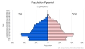 This is the population pyramid for Guyana. A population pyramid illustrates the age and sex structure of a country's population and may provide insights about political and social stability, as well as economic development. The population is distributed along the horizontal axis, with males shown on the left and females on the right. The male and female populations are broken down into 5-year age groups represented as horizontal bars along the vertical axis, with the youngest age groups at the bottom and the oldest at the top. The shape of the population pyramid gradually evolves over time based on fertility, mortality, and international migration trends. <br/><br/>For additional information, please see the entry for Population pyramid on the Definitions and Notes page.