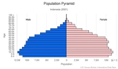This is the population pyramid for Indonesia. A population pyramid illustrates the age and sex structure of a country's population and may provide insights about political and social stability, as well as economic development. The population is distributed along the horizontal axis, with males shown on the left and females on the right. The male and female populations are broken down into 5-year age groups represented as horizontal bars along the vertical axis, with the youngest age groups at the bottom and the oldest at the top. The shape of the population pyramid gradually evolves over time based on fertility, mortality, and international migration trends. <br/><br/>For additional information, please see the entry for Population pyramid on the Definitions and Notes page.